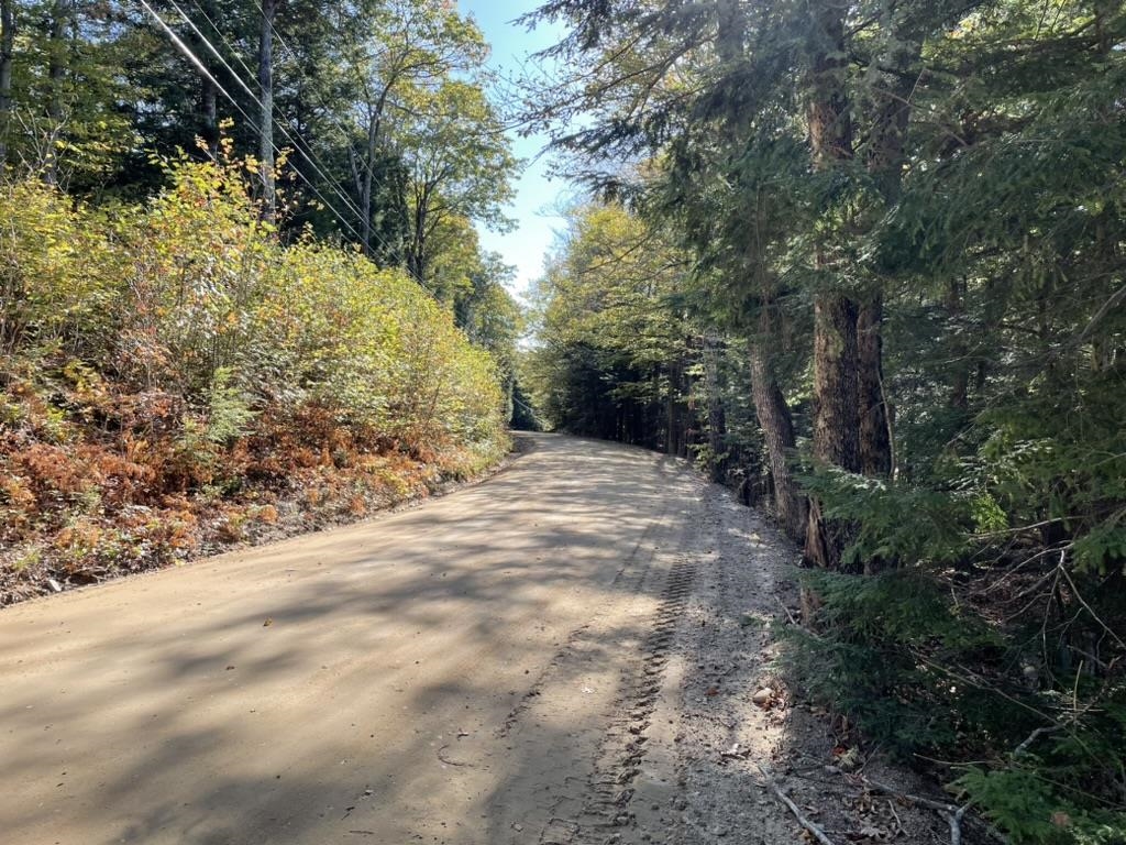 341 Perkins Hill Road, Unit 7 Alexandria, NH 03222 - Photo 4 of 8