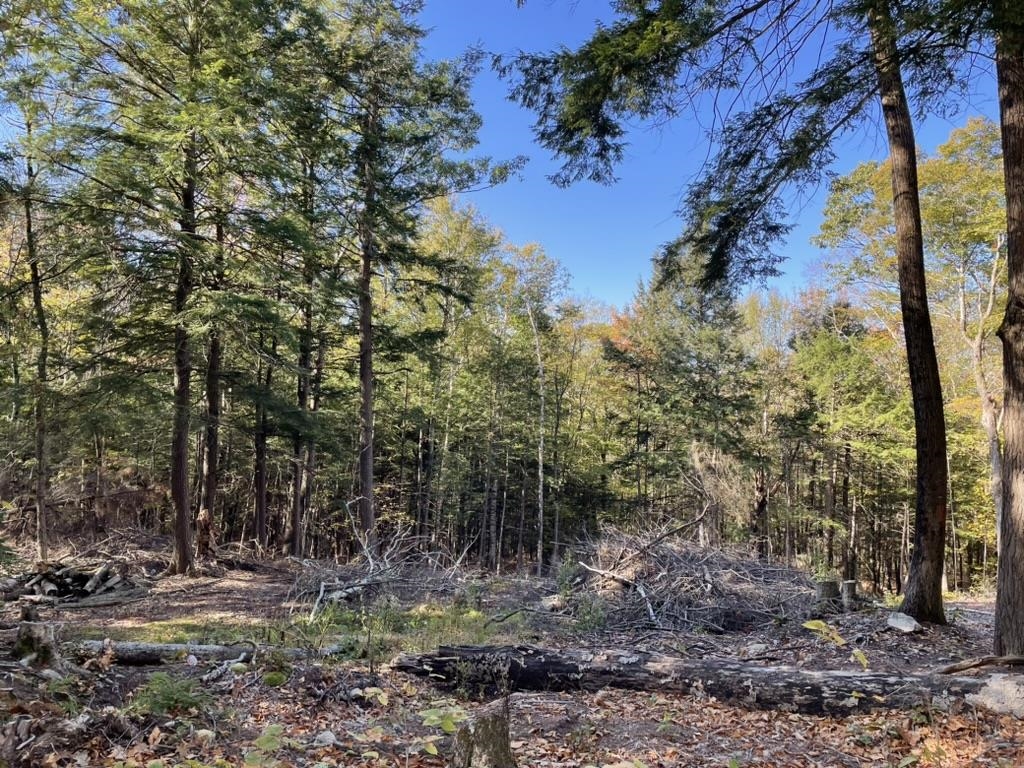 341 Perkins Hill Road, Unit 7 Alexandria, NH 03222 - Photo 5 of 8