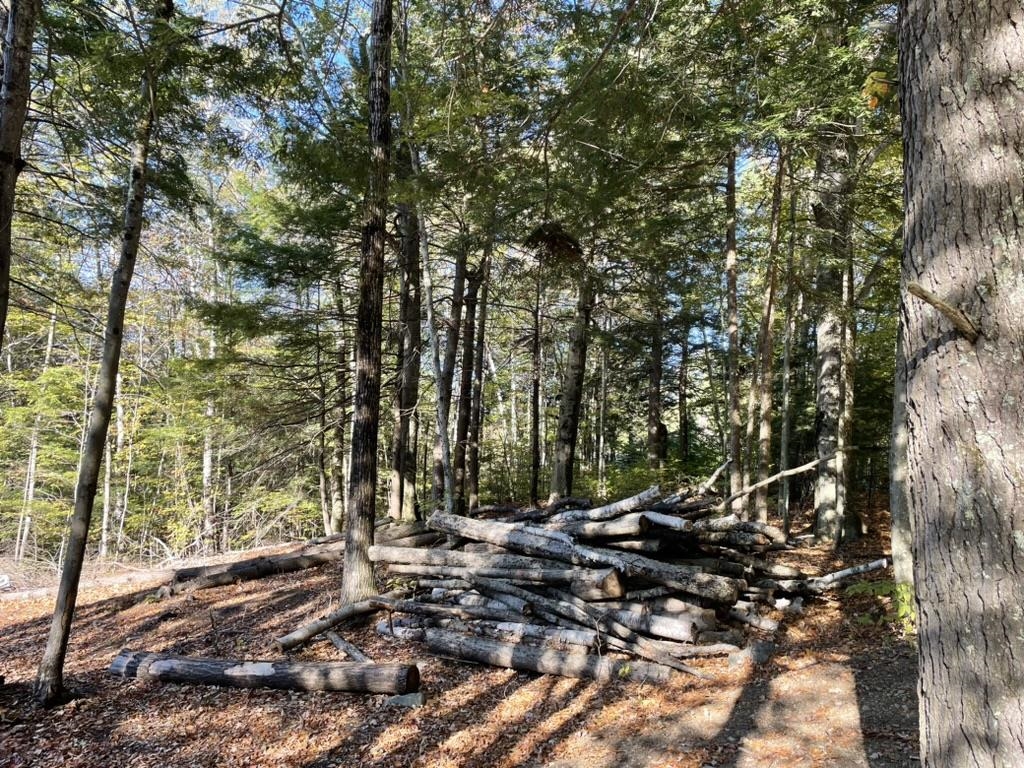 341 Perkins Hill Road, Unit 7 Alexandria, NH 03222 - Photo 6 of 8