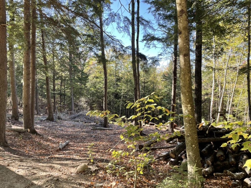 341 Perkins Hill Road, Unit 7 Alexandria, NH 03222 - Photo 7 of 8