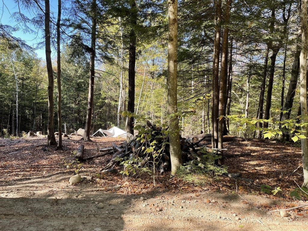 341 Perkins Hill Road, Unit 7 Alexandria, NH 03222 - Photo 8 of 8