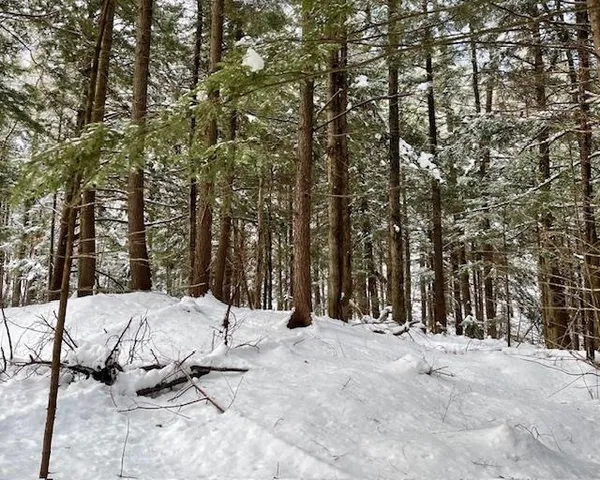 $142,000 | 192 Pingree Park Lane, Unit LOT #4, Londonderry, VT 05148