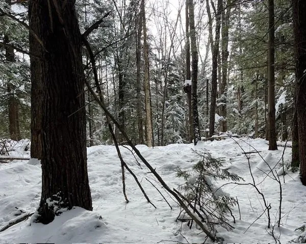 $142,000 | 192 Pingree Park Lane, Unit LOT #4, Londonderry, VT 05148