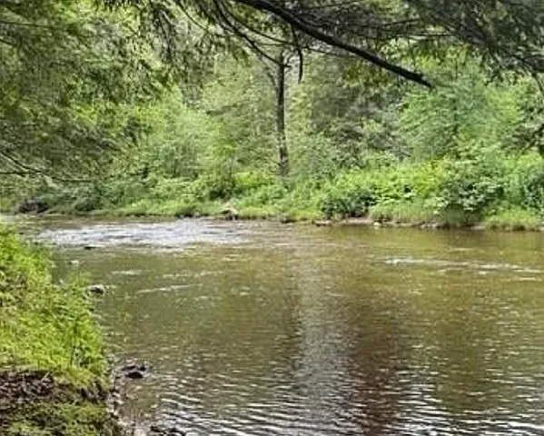 $142,000 | 192 Pingree Park Lane, Unit LOT #4, Londonderry, VT 05148