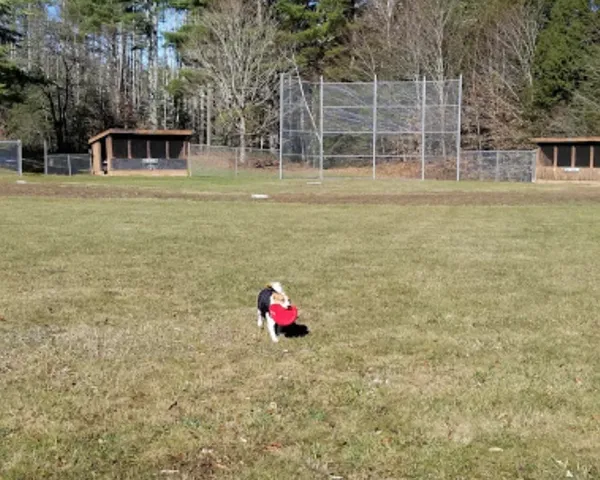 $142,000 | 192 Pingree Park Lane, Unit LOT #4, Londonderry, VT 05148