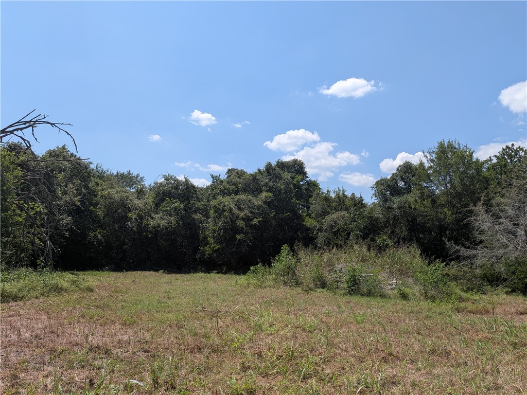 18320 Sweed Road Washington, TX 77880 - Photo 8 of 16 Gallery Image 8