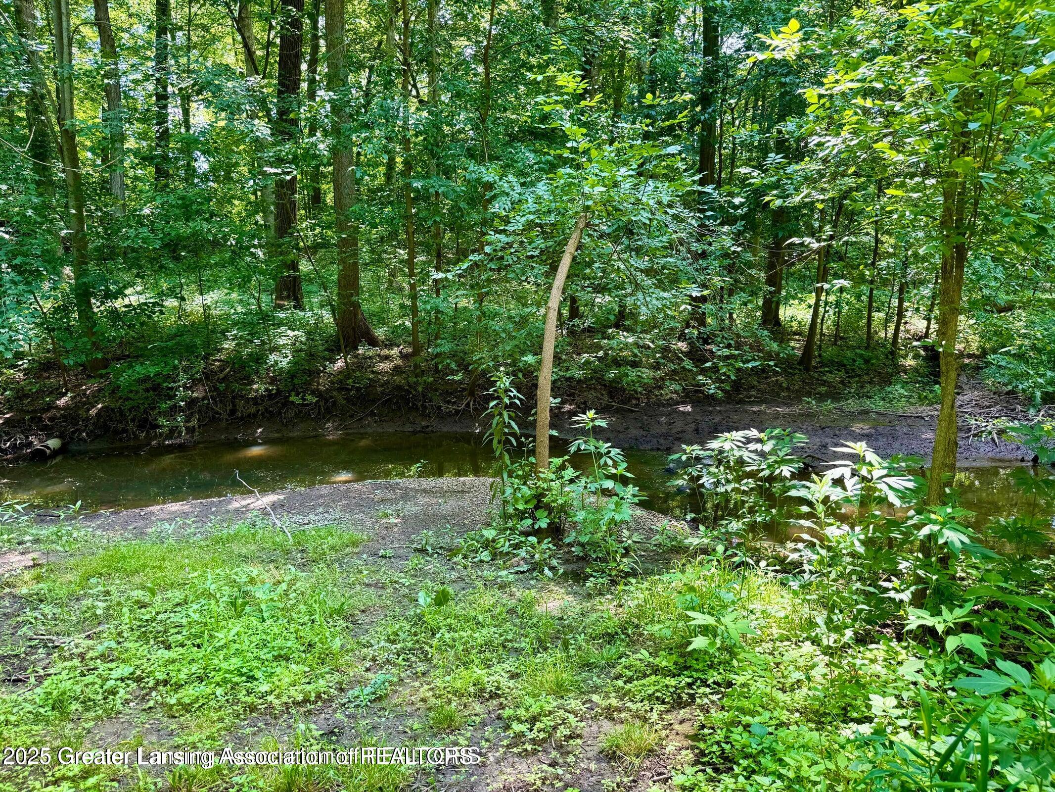229 Williamsburg Road Lansing, MI 48917 - Photo 59 of 61 20250707225247511448000000-o