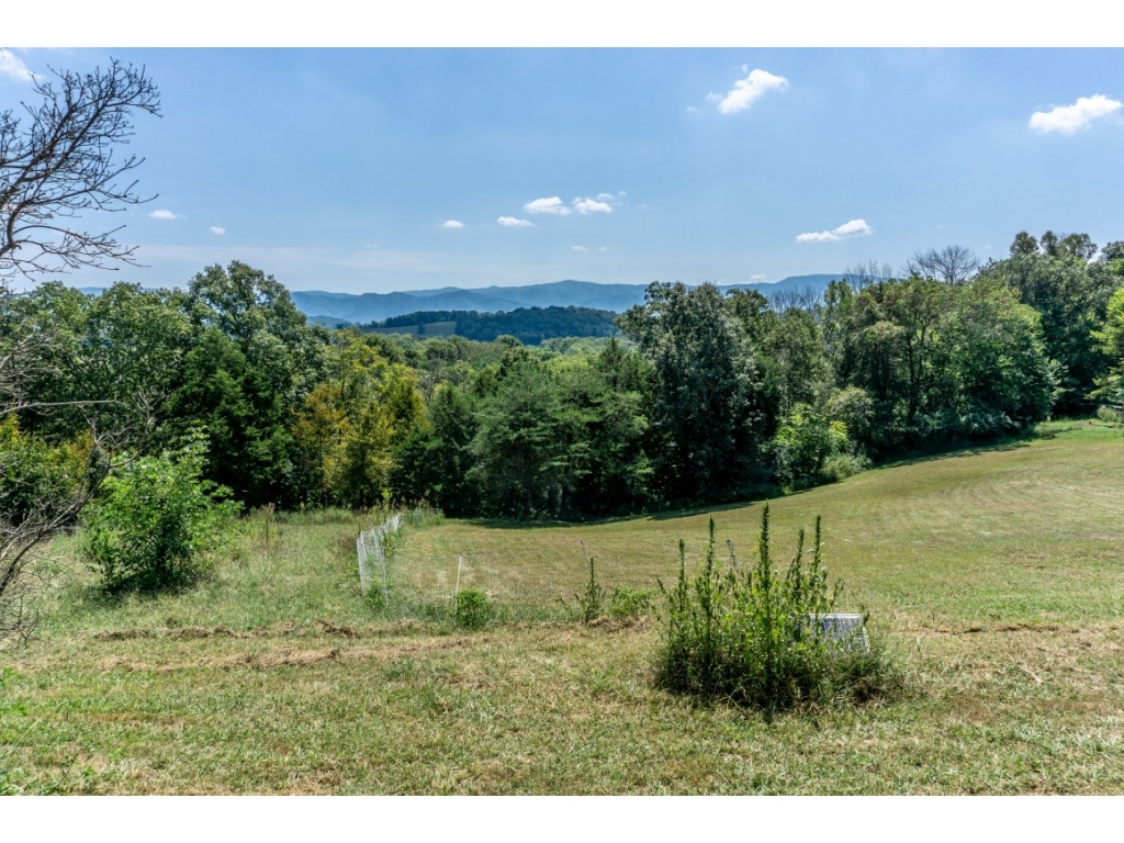 173 John Matthews Road Limestone, TN 37681 - Photo 32 of 36 Photo 32