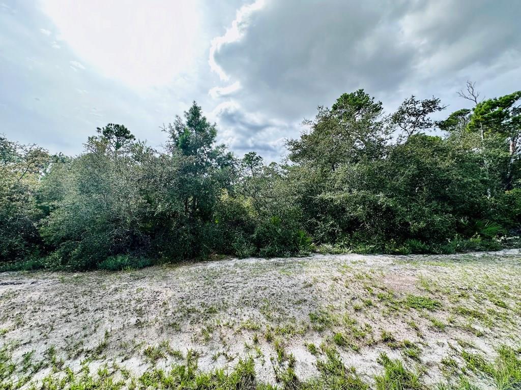 158 Singleleaf Road Eastpoint, FL 32328 - Photo 2 of 9