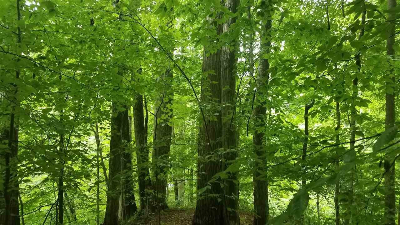 39.5 East /- Acres Road Solsberry, IN 47459 - Photo 1 of 14 Gallery Image 1