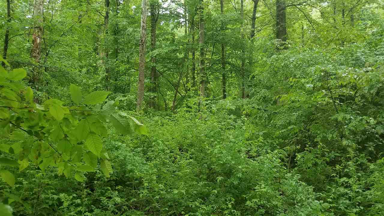 39.5 East /- Acres Road Solsberry, IN 47459 - Photo 6 of 14 Gallery Image 6