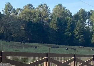 $1,600,000 | 919 Arnold Bottoms Road, Comer, GA 30629