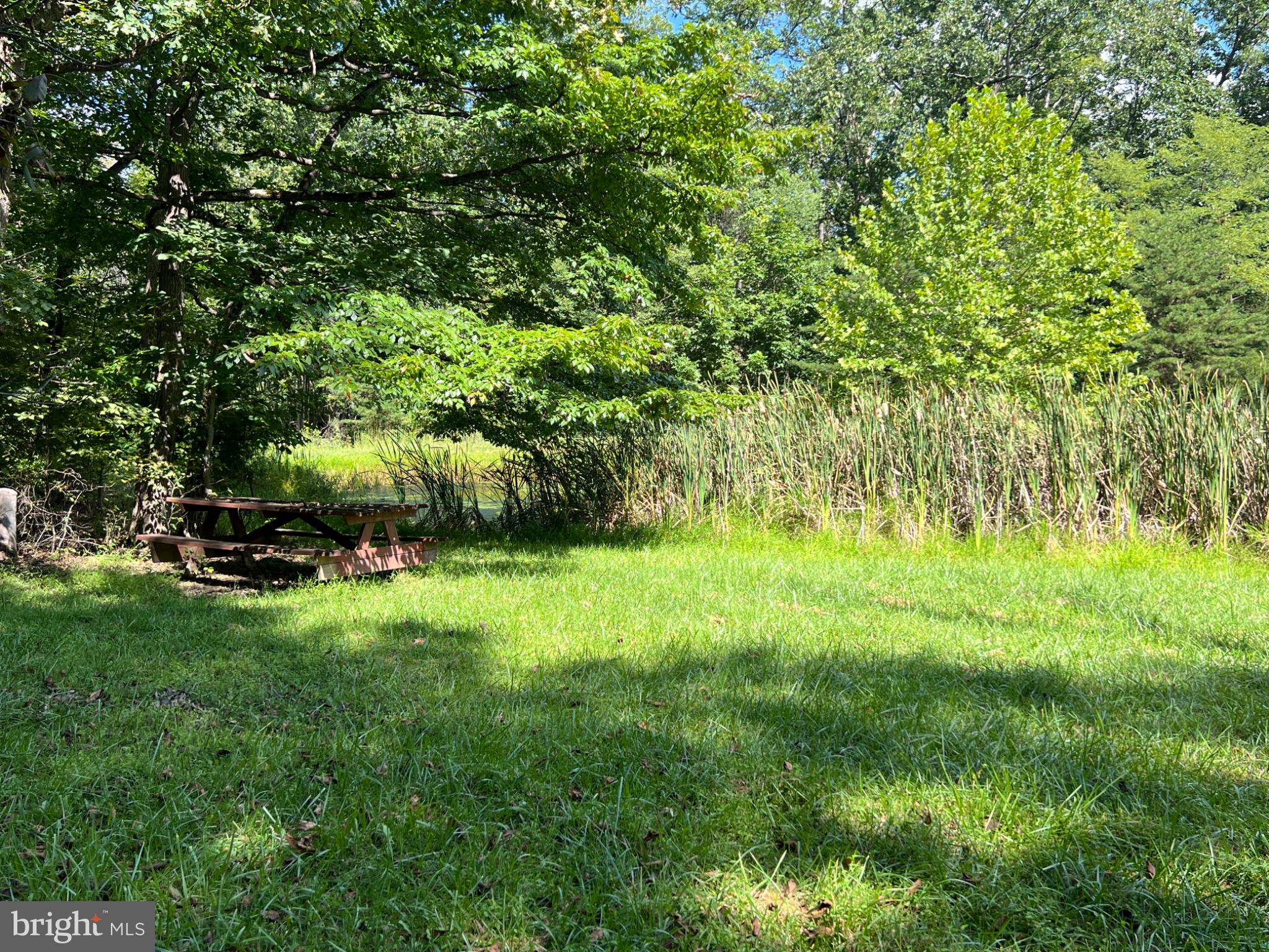 2932 Kerns School Road Springfield, WV 26763 - Photo 37 of 42 Neighborhood pond