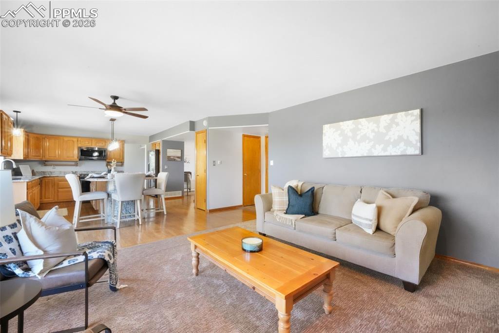 3530 Doolittle Road Monument, CO 80132 - Photo 30 of 50