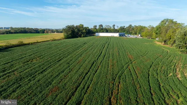 a view of an outdoor space and a yard