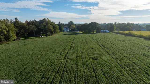 a view of a garden with an ocean