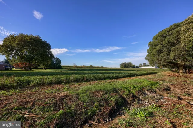 a view of a lake with a lake in the background