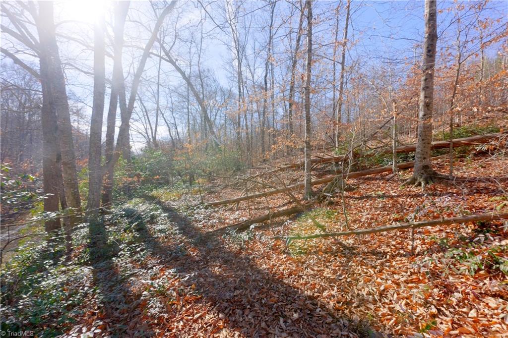 7-8 Roby Fulk Road Pinnacle, NC 27043 - Photo 11 of 48