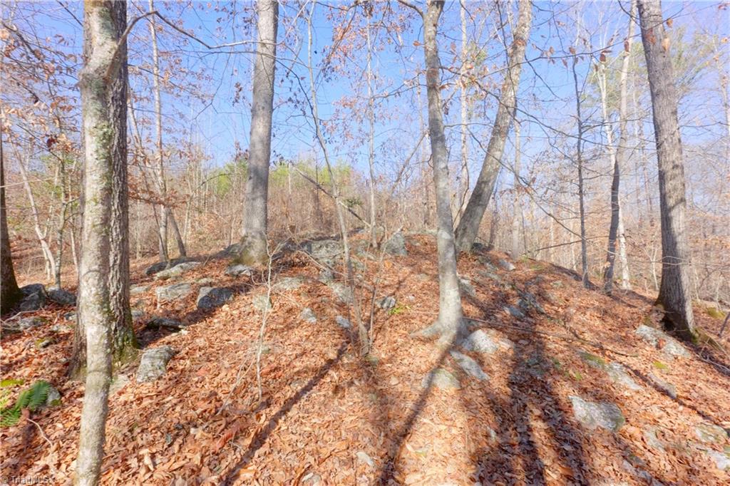 7-8 Roby Fulk Road Pinnacle, NC 27043 - Photo 12 of 48