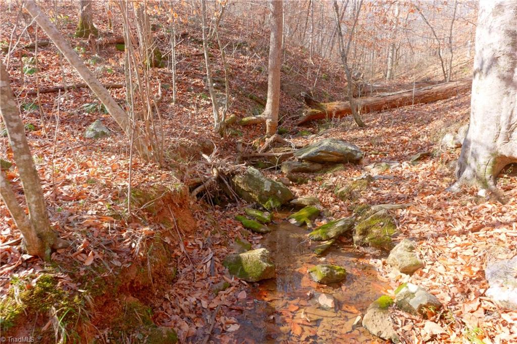 7-8 Roby Fulk Road Pinnacle, NC 27043 - Photo 13 of 48