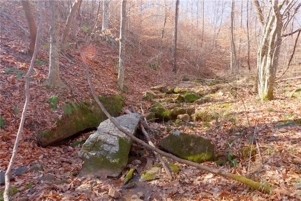 $324,900 | 7-8 Roby Fulk Road, Pinnacle, NC 27043