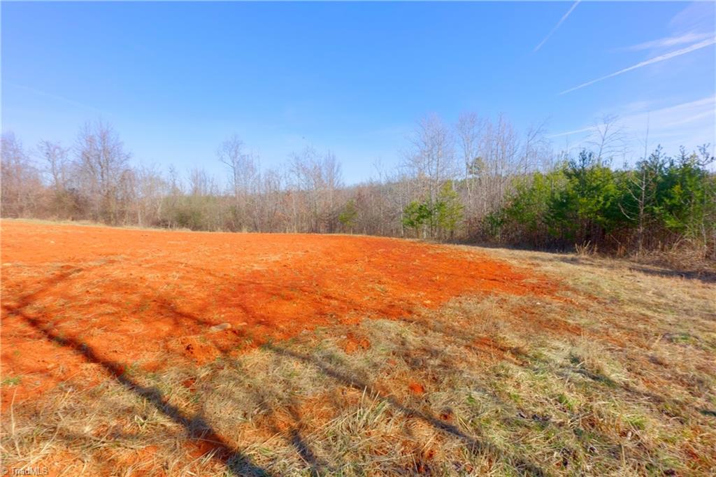 7-8 Roby Fulk Road Pinnacle, NC 27043 - Photo 15 of 48