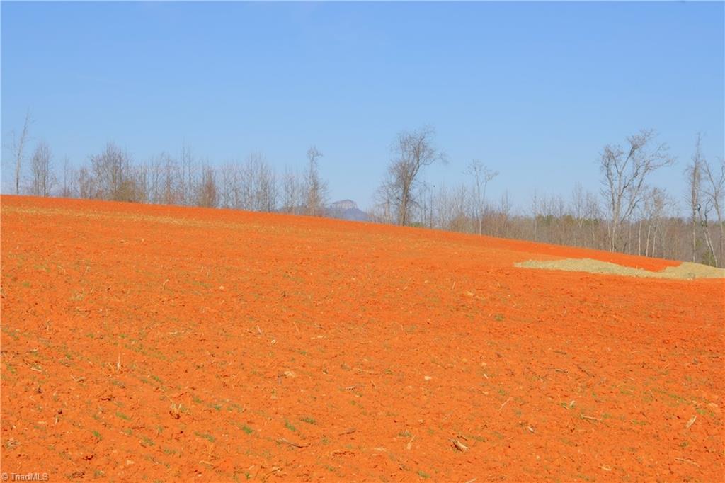 7-8 Roby Fulk Road Pinnacle, NC 27043 - Photo 16 of 48