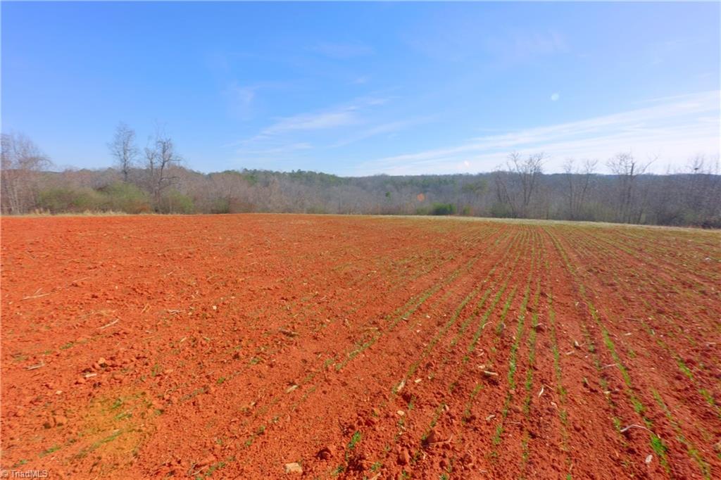 7-8 Roby Fulk Road Pinnacle, NC 27043 - Photo 17 of 48