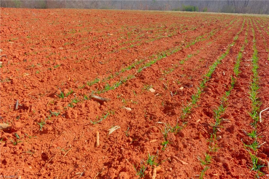 7-8 Roby Fulk Road Pinnacle, NC 27043 - Photo 18 of 48