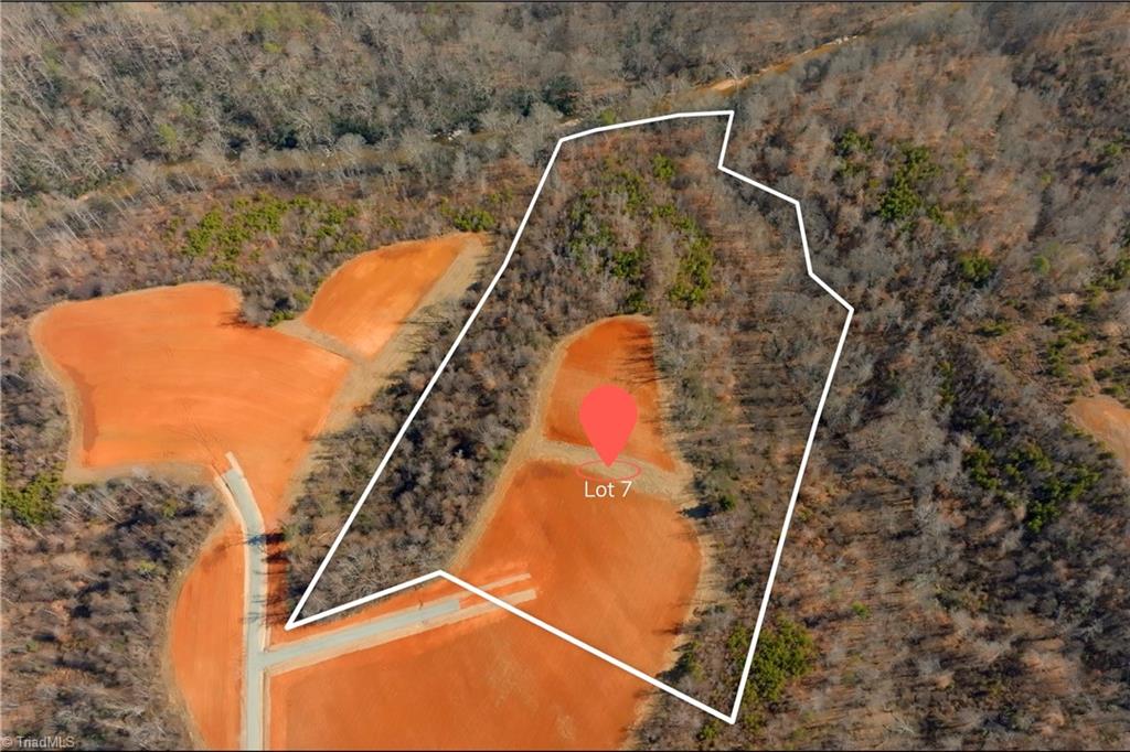 7-8 Roby Fulk Road Pinnacle, NC 27043 - Photo 2 of 48