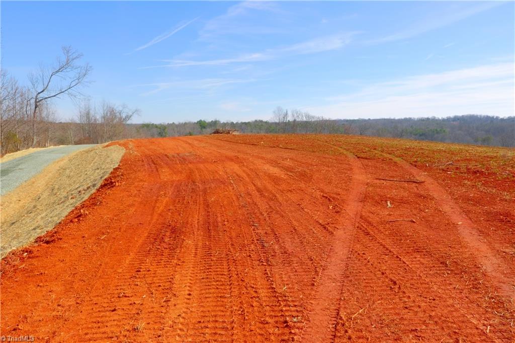 7-8 Roby Fulk Road Pinnacle, NC 27043 - Photo 21 of 48