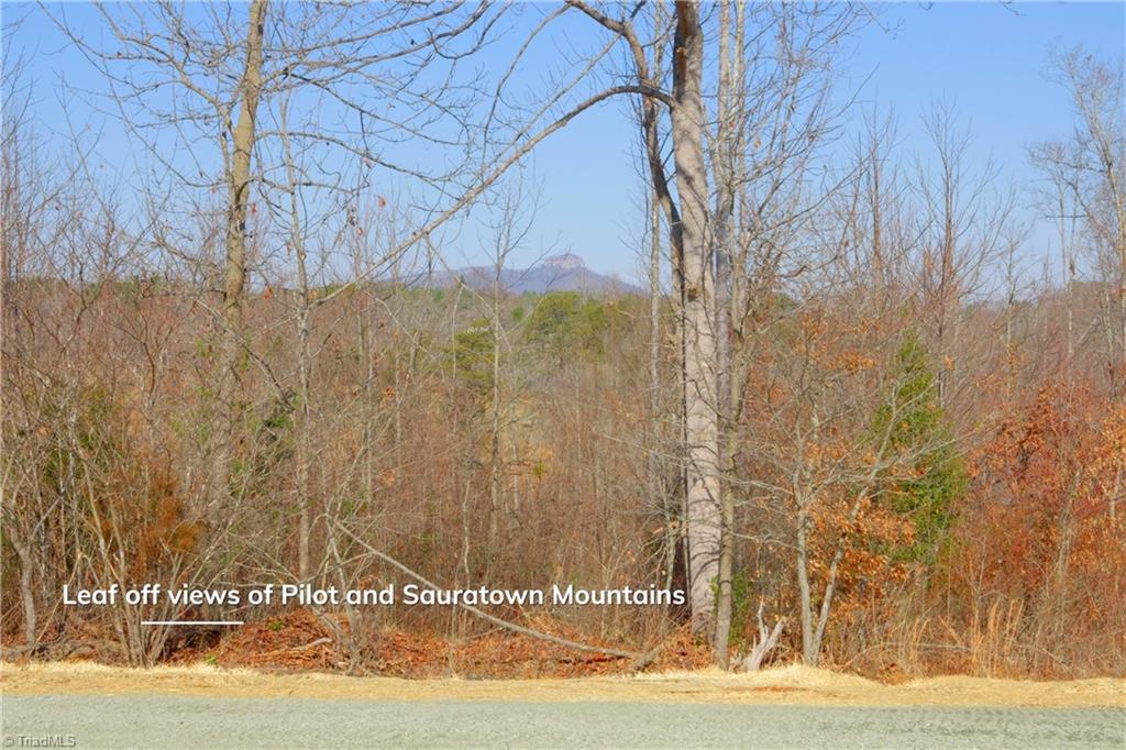 7-8 Roby Fulk Road Pinnacle, NC 27043 - Photo 22 of 48