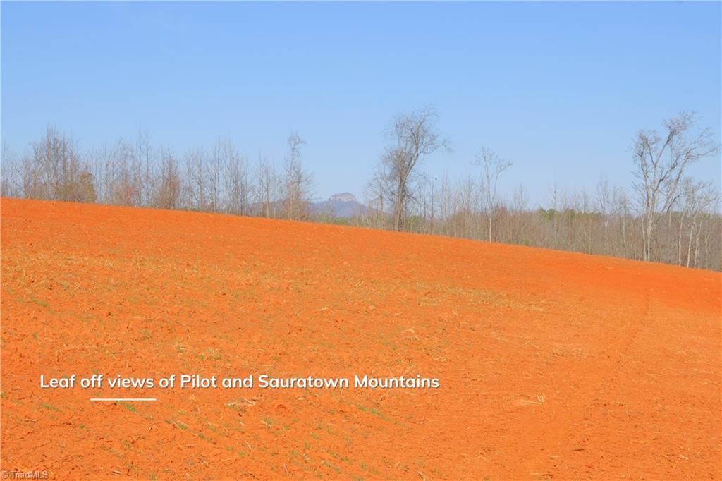 7-8 Roby Fulk Road Pinnacle, NC 27043 - Photo 23 of 48