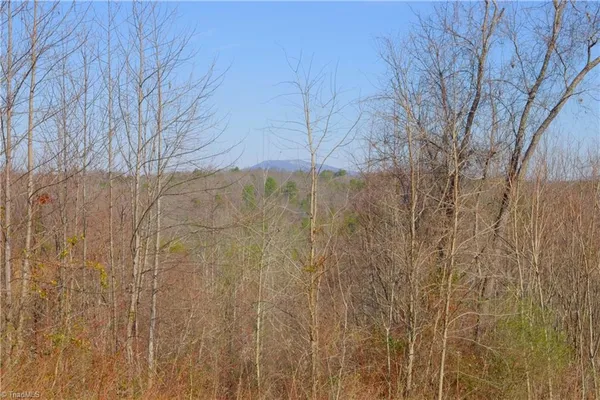 $324,900 | 7-8 Roby Fulk Road, Pinnacle, NC 27043