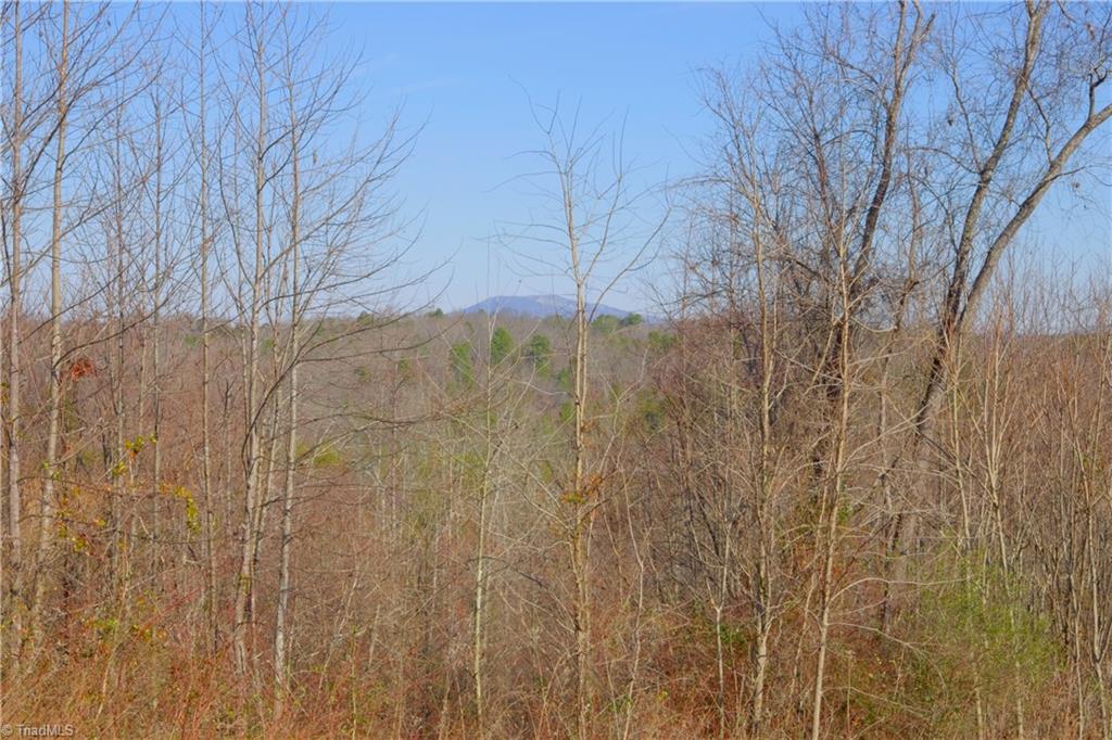 7-8 Roby Fulk Road Pinnacle, NC 27043 - Photo 24 of 48