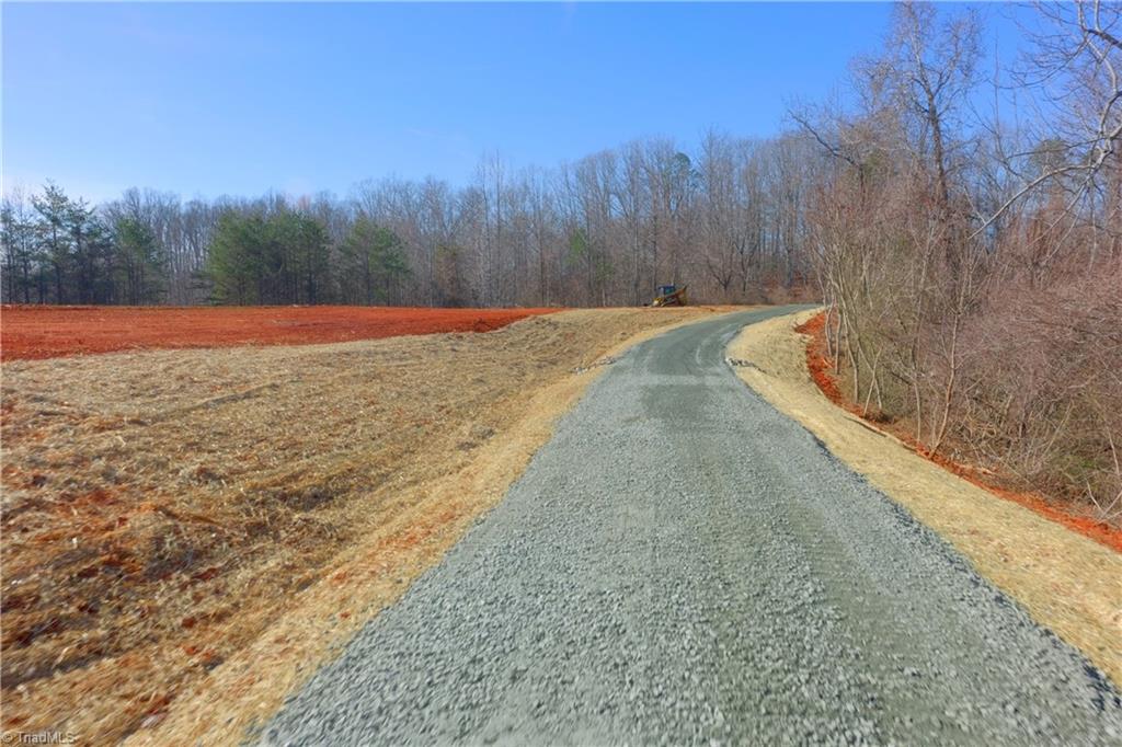 7-8 Roby Fulk Road Pinnacle, NC 27043 - Photo 29 of 48