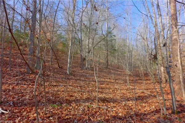 $324,900 | 7-8 Roby Fulk Road, Pinnacle, NC 27043