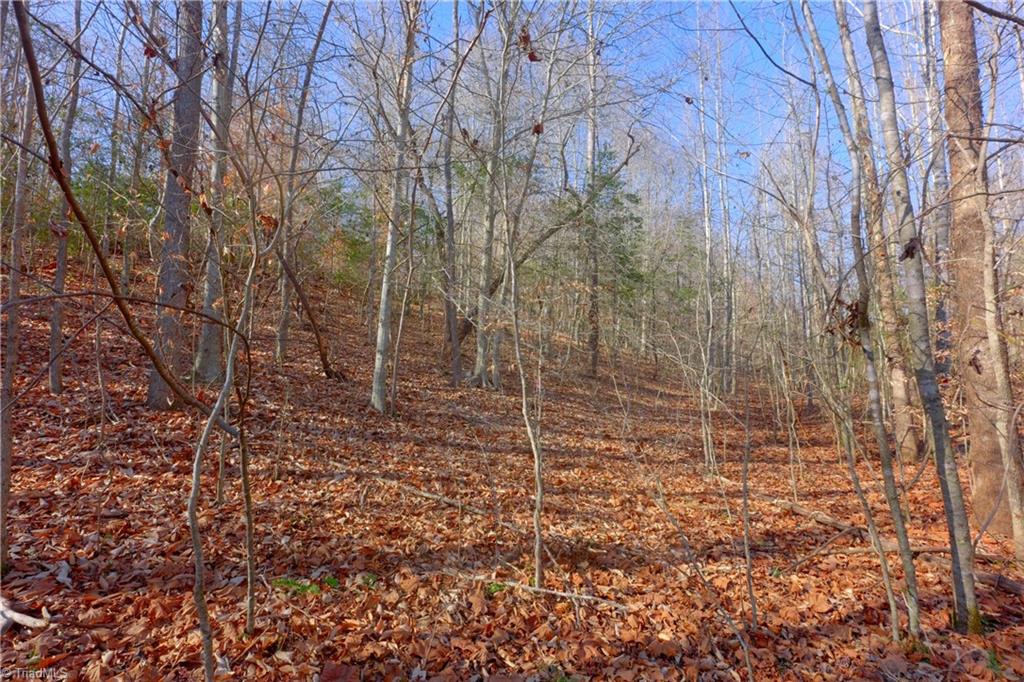 7-8 Roby Fulk Road Pinnacle, NC 27043 - Photo 31 of 48