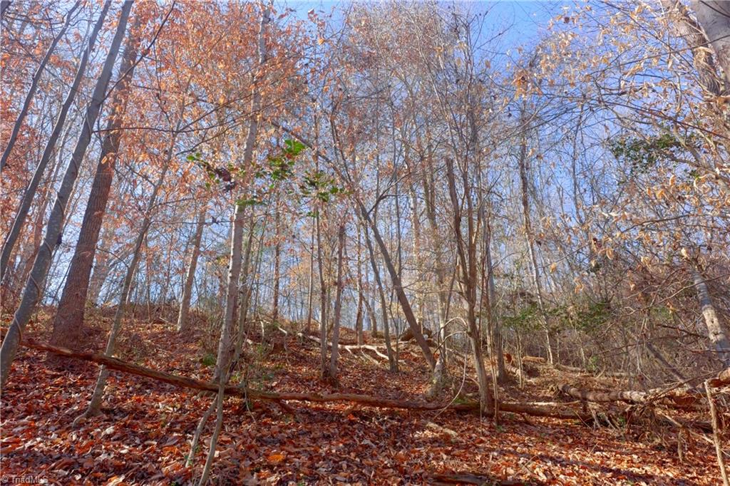 7-8 Roby Fulk Road Pinnacle, NC 27043 - Photo 32 of 48