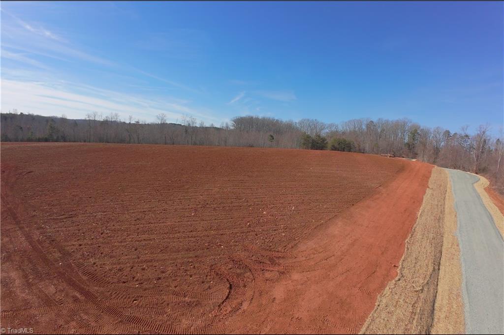 7-8 Roby Fulk Road Pinnacle, NC 27043 - Photo 34 of 48