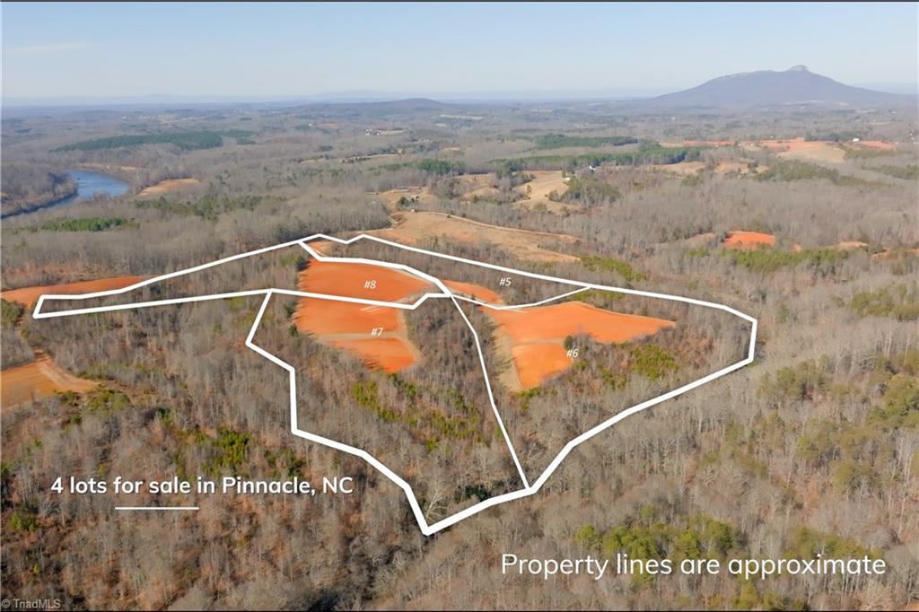 7-8 Roby Fulk Road Pinnacle, NC 27043 - Photo 36 of 48