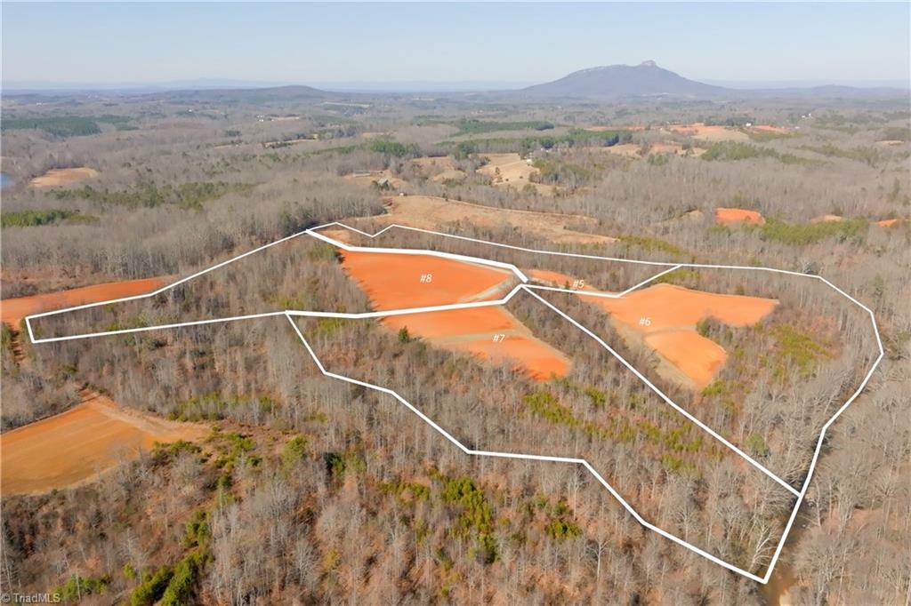 7-8 Roby Fulk Road Pinnacle, NC 27043 - Photo 37 of 48
