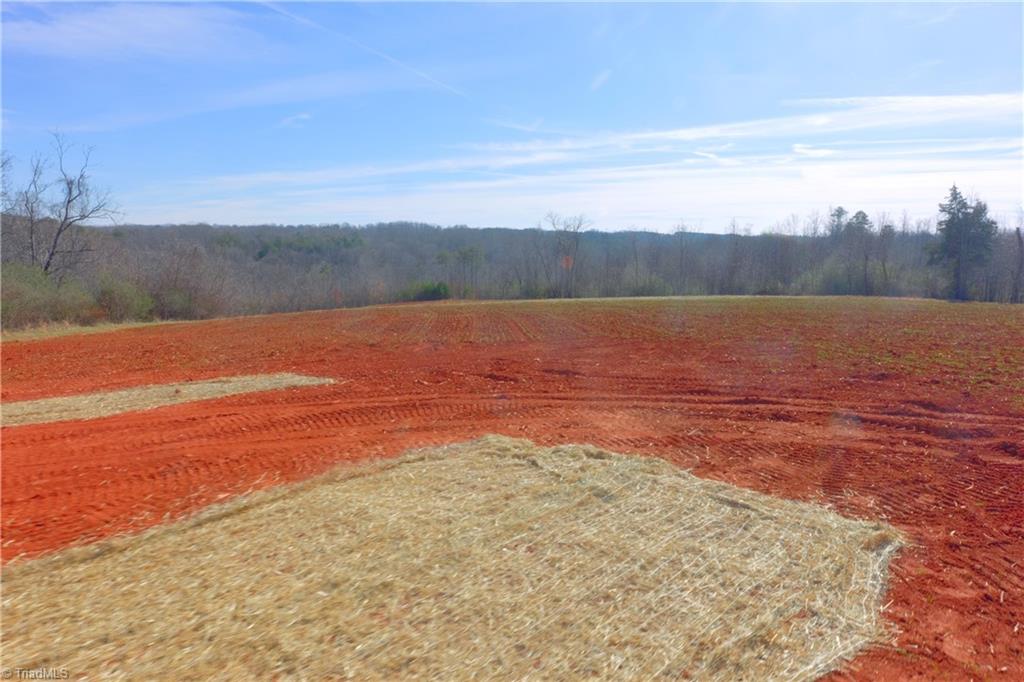 7-8 Roby Fulk Road Pinnacle, NC 27043 - Photo 4 of 48