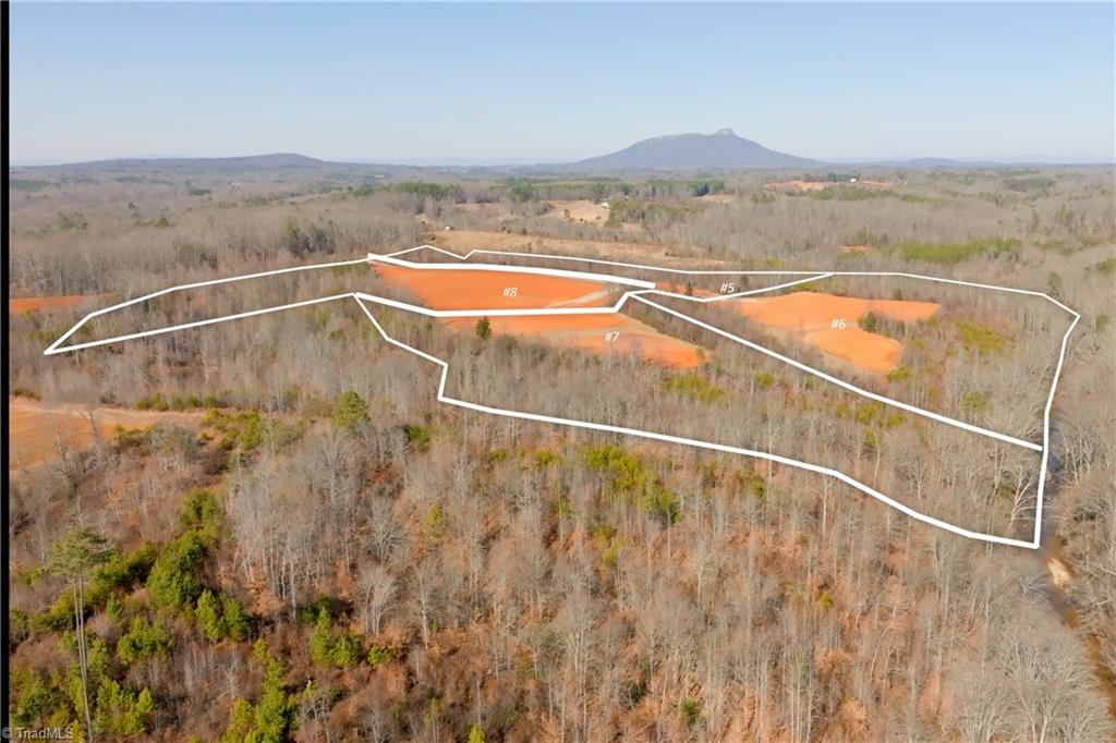 7-8 Roby Fulk Road Pinnacle, NC 27043 - Photo 42 of 48