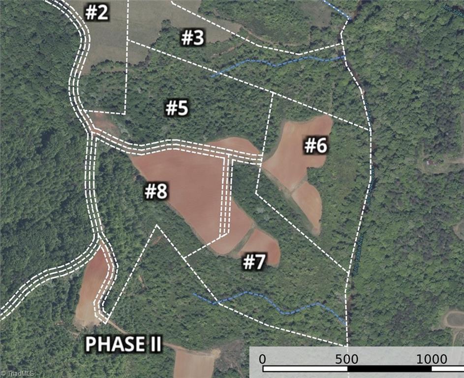 7-8 Roby Fulk Road Pinnacle, NC 27043 - Photo 46 of 48