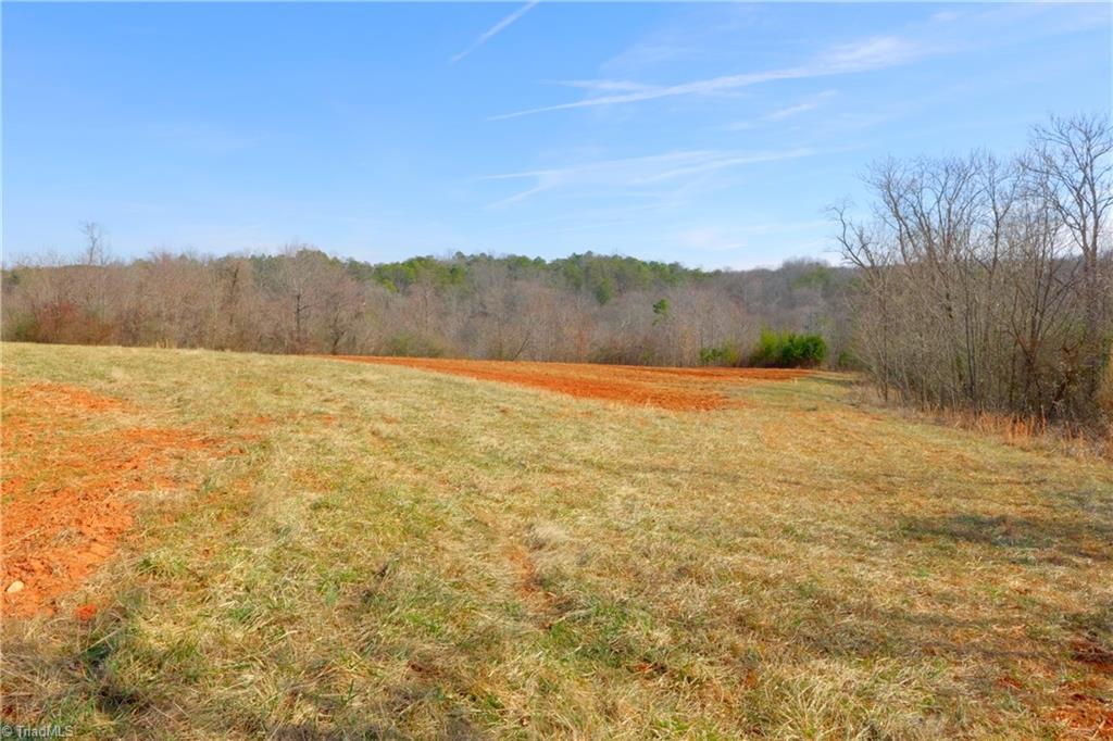 7-8 Roby Fulk Road Pinnacle, NC 27043 - Photo 6 of 48