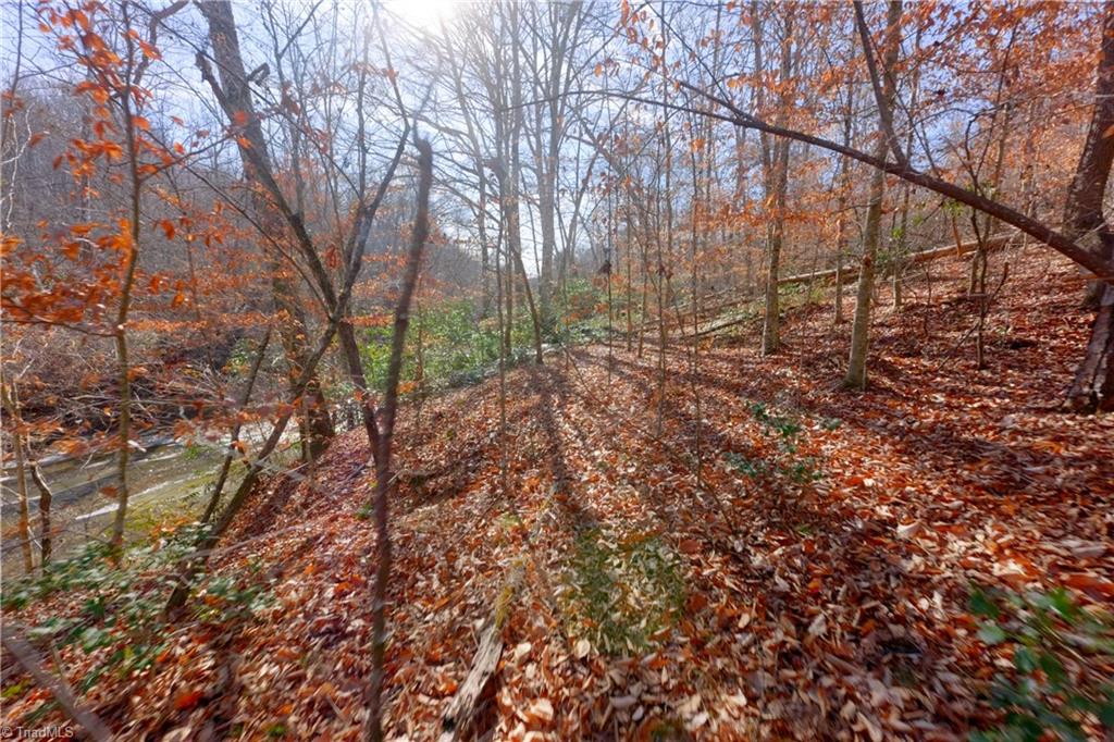 7-8 Roby Fulk Road Pinnacle, NC 27043 - Photo 7 of 48