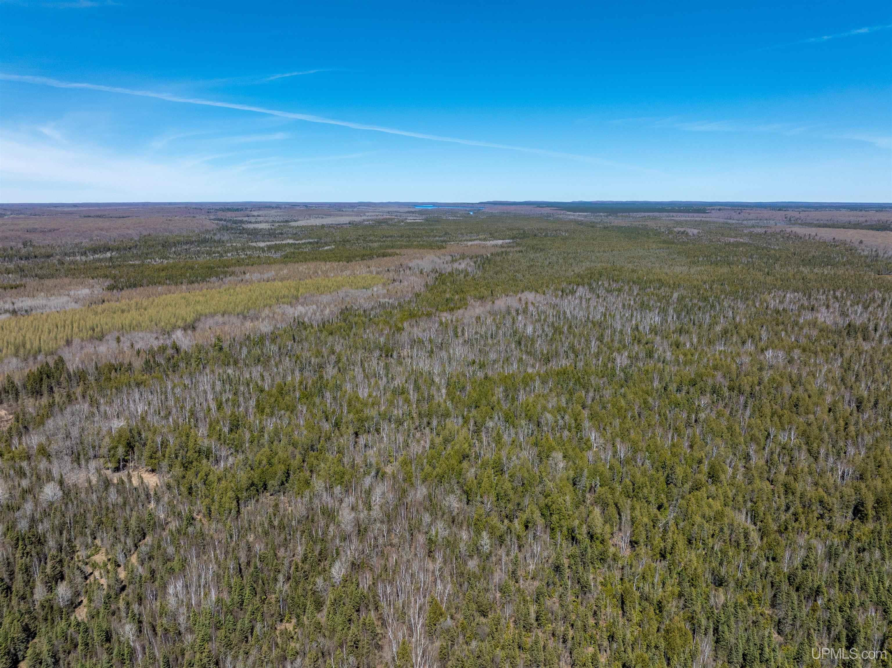 E4291 Walleye Road Chatham, MI 49816 - Photo 23 of 52