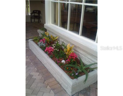 19 Jeff Road Largo, FL 33774 - Photo 1 of 1 a view of a potted plant in front of a house