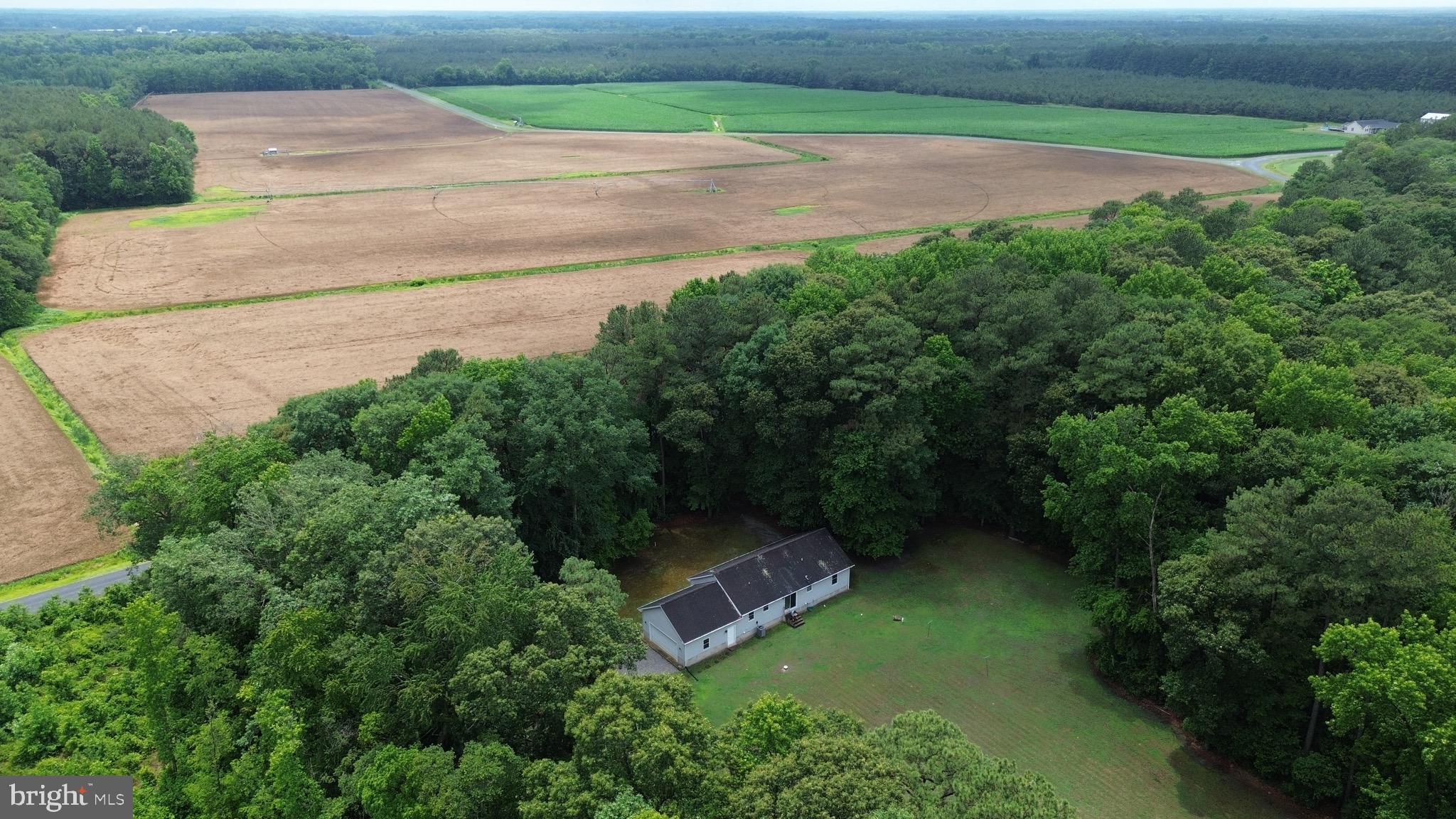 20029 Little Hill Road Millsboro, DE 19966 - Photo 40 of 41
